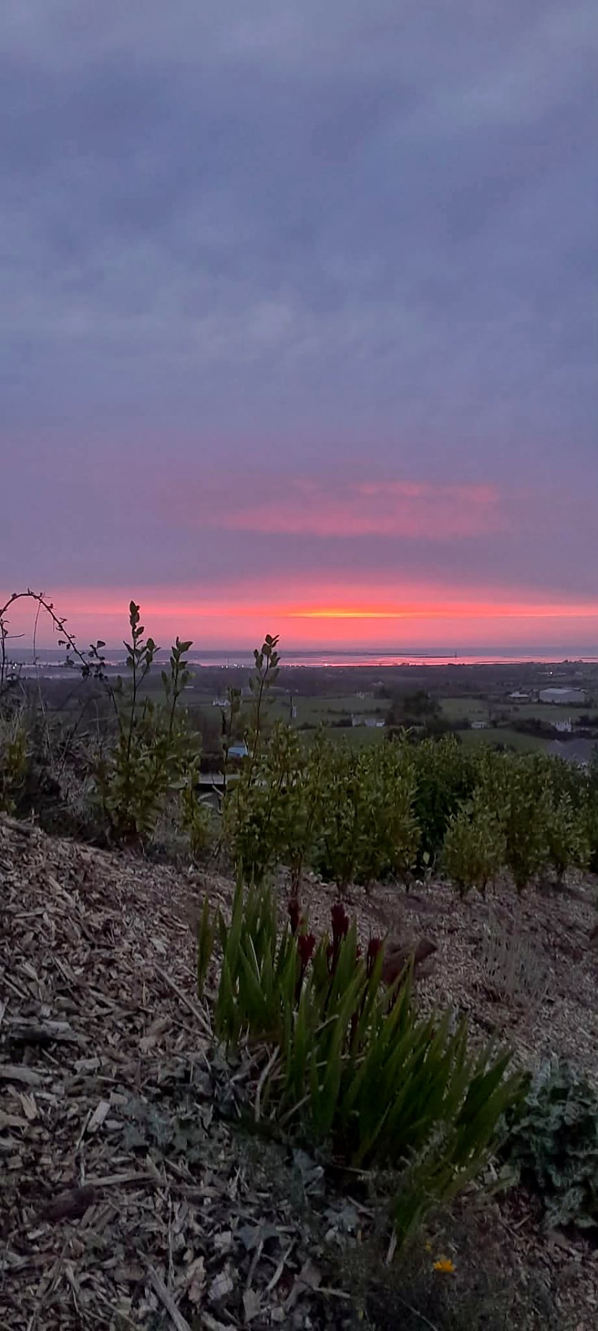 Pink and orange sunset over the sea and fields from Fairy Cove